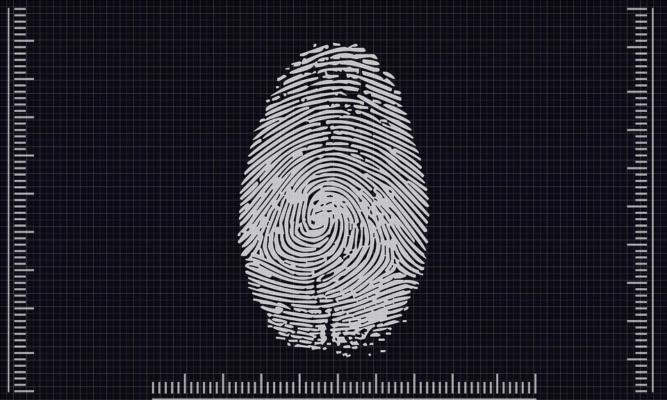 Tes Bakat Anak melalui fingerprint