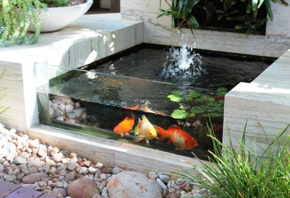inspirasi taman minimalis dengan kolam ikan